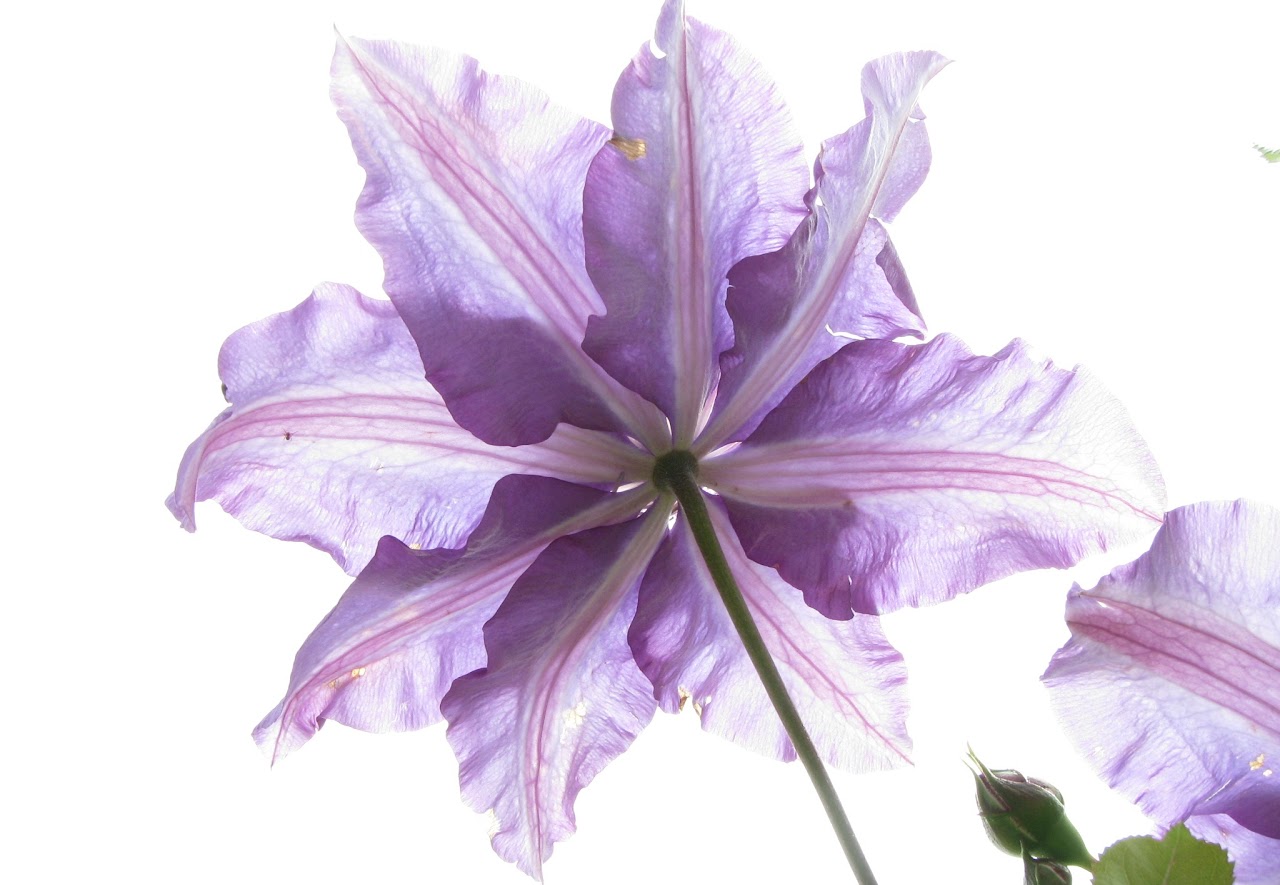 5 waarschuwingssignalen van een magnesiumtekort*